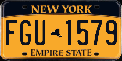 NY license plate FGU1579