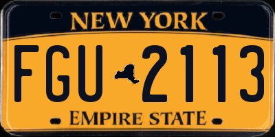 NY license plate FGU2113