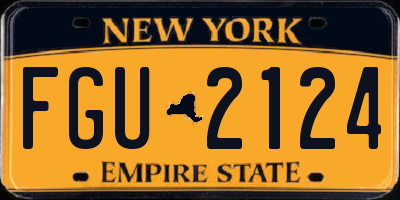 NY license plate FGU2124