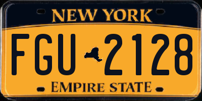 NY license plate FGU2128