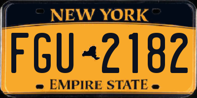 NY license plate FGU2182