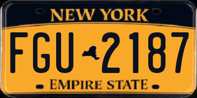 NY license plate FGU2187