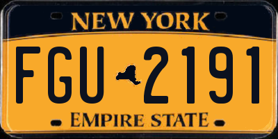 NY license plate FGU2191