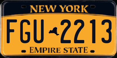 NY license plate FGU2213