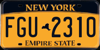 NY license plate FGU2310