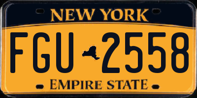 NY license plate FGU2558