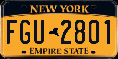 NY license plate FGU2801