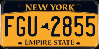NY license plate FGU2855