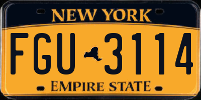 NY license plate FGU3114