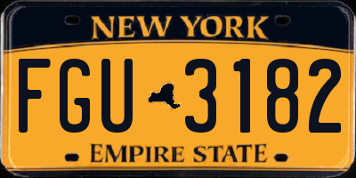NY license plate FGU3182
