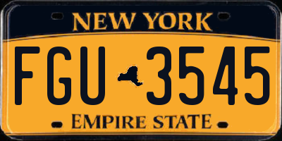 NY license plate FGU3545