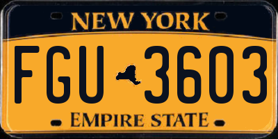 NY license plate FGU3603