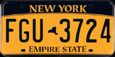 NY license plate FGU3724