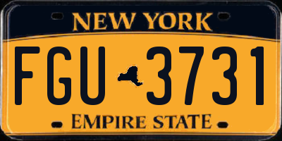 NY license plate FGU3731