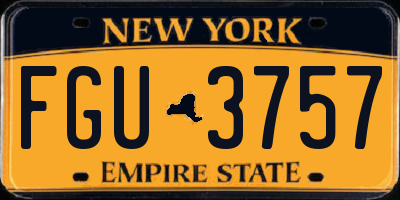 NY license plate FGU3757