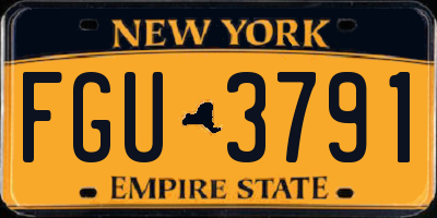 NY license plate FGU3791