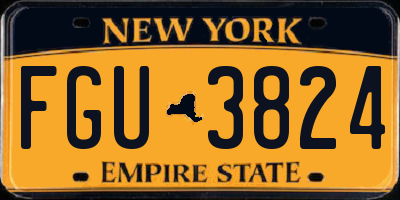 NY license plate FGU3824