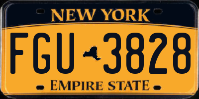 NY license plate FGU3828