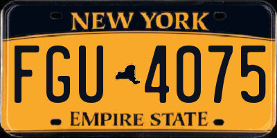 NY license plate FGU4075