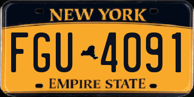 NY license plate FGU4091