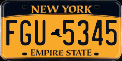 NY license plate FGU5345