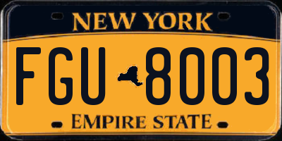 NY license plate FGU8003