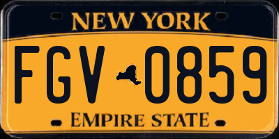 NY license plate FGV0859