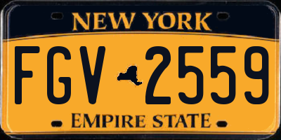 NY license plate FGV2559