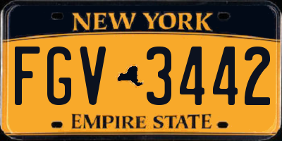 NY license plate FGV3442