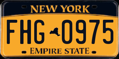 NY license plate FHG0975