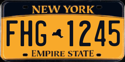NY license plate FHG1245