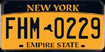 NY license plate FHM0229
