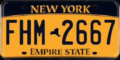 NY license plate FHM2667