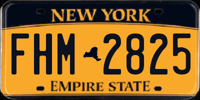 NY license plate FHM2825