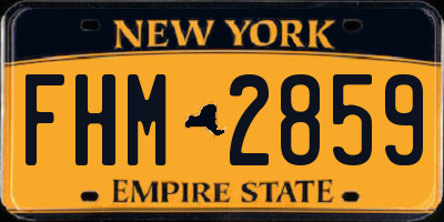 NY license plate FHM2859