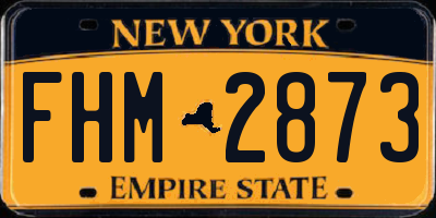 NY license plate FHM2873