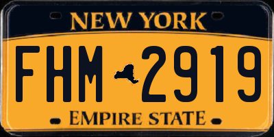 NY license plate FHM2919