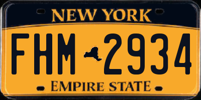 NY license plate FHM2934