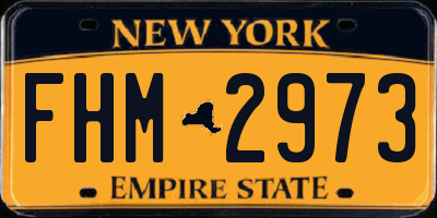 NY license plate FHM2973
