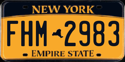 NY license plate FHM2983