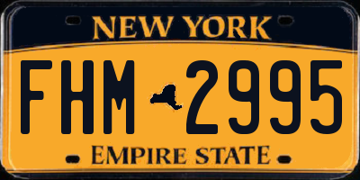 NY license plate FHM2995