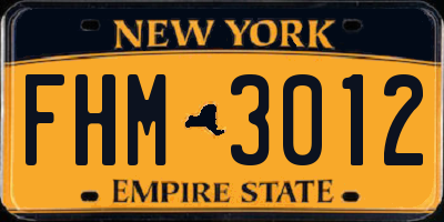NY license plate FHM3012