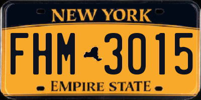 NY license plate FHM3015