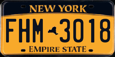NY license plate FHM3018