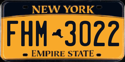 NY license plate FHM3022
