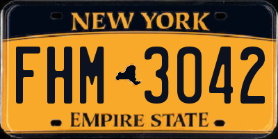 NY license plate FHM3042