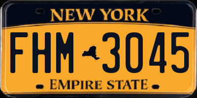 NY license plate FHM3045