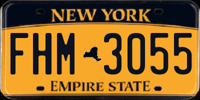 NY license plate FHM3055