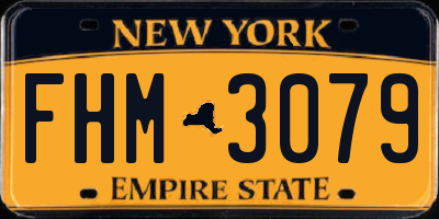 NY license plate FHM3079