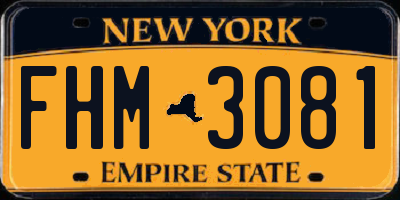 NY license plate FHM3081